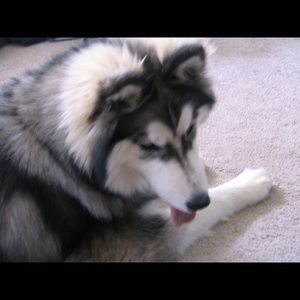 Meet your Posher, Briana